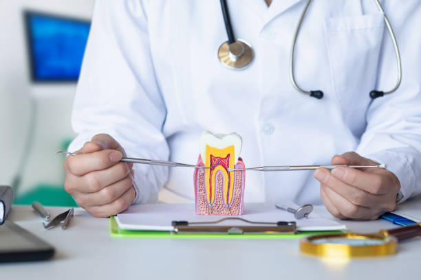 Best Weekend Emergency Dentist in Red Oak, IA